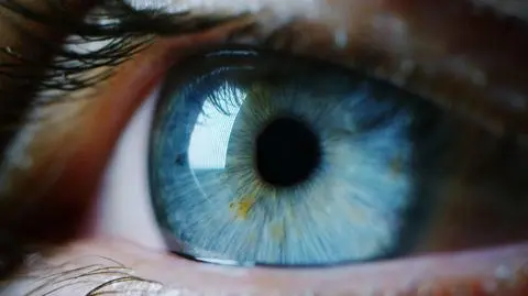 Za kolor oczu odpowiada 50 genów