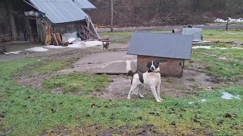 Klatka kluczowa-93746