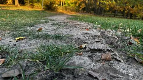 Ścieżki są w fatalnym stanie