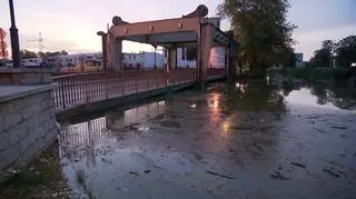 Nowa Sól (23.09.2024, ok. 6.30)