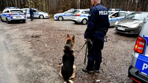 Ciało zakopane w lesie, dwóch podejrzanych. Ustalenia prokuratury