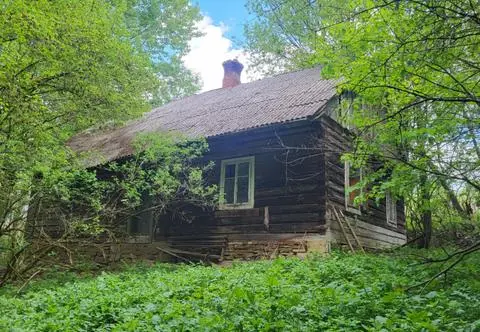 Gdzie jest Zygmunt Korfanty? Po jego zaginięciu w stajni wylali beton