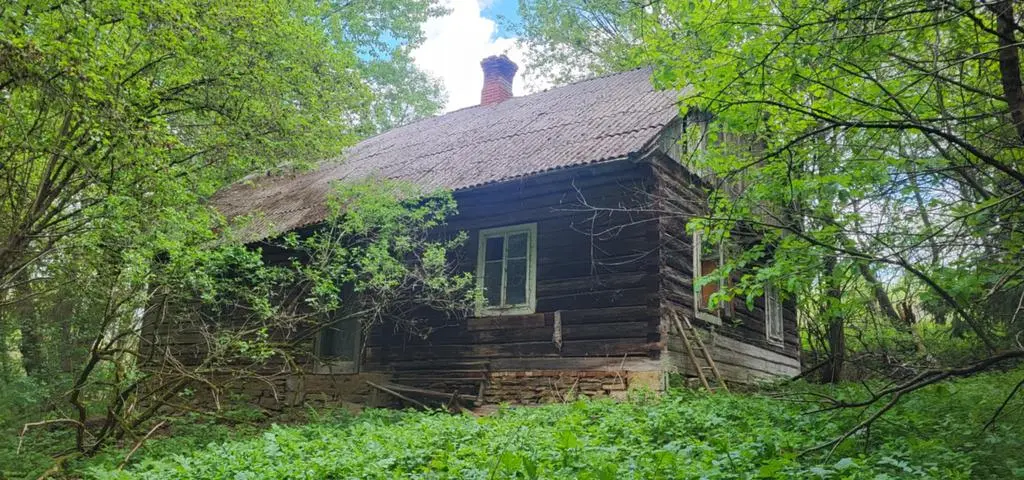 Gdzie jest Zygmunt Korfanty? Po jego zaginięciu w stajni wylali beton