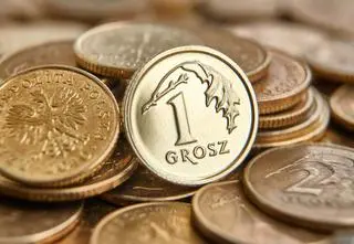 Groszowa sprawa? U nas tajemnicza petycja, w innych krajach decyzje