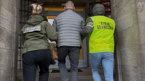 Sklejka objęta embargo trafiła do Polski