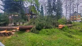 Warkot pił zakłócił spokój mieszkańców Zakopanego po majówce