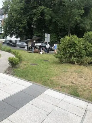 Padł koń dorożkarski w Świnoujściu