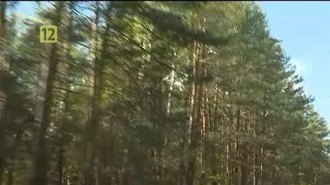 uwaga