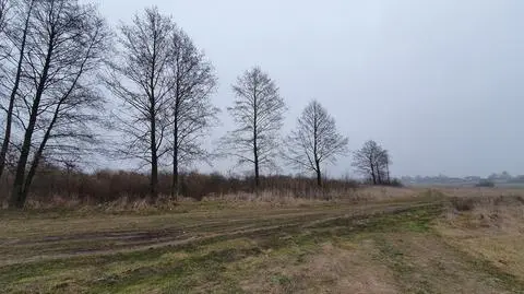 Nawet kilka miesięcy intensywnych opadów nie "spłaci nam wodnego kredytu"