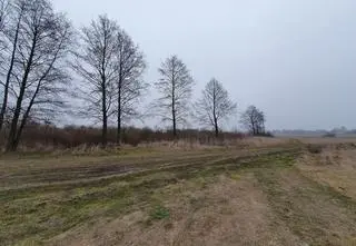 Nawet kilka miesięcy intensywnych opadów nie "spłaci nam wodnego kredytu"