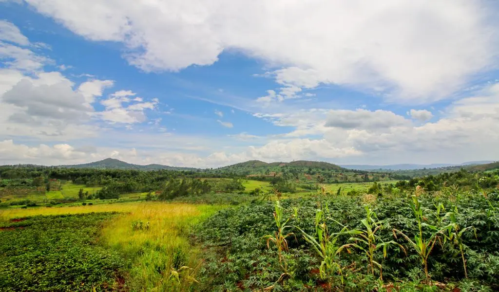 Gitega, jedna z siedemnastu prowincji w Burundi, znajdująca się w centralnej części kraju
