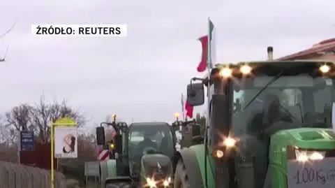 Italy's farmers 