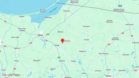 Drzewo spadło na jadący autobus rejsowy. Pasażerka trafiła do szpitala