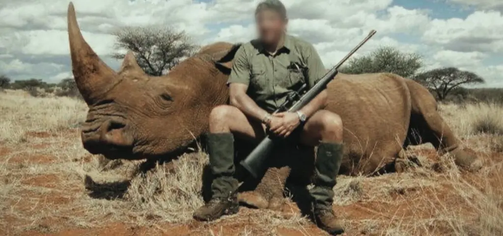 "Płacono więcej niż za złoto czy kokainę"