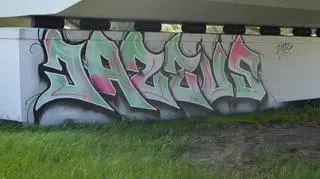 Wandalom grozi do 5 lat więzienia