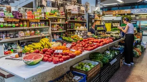 shutterstock_2634846629