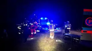 Szczekanie psa uratowało mężczyznę