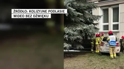 Kolizyjne Podlasie
