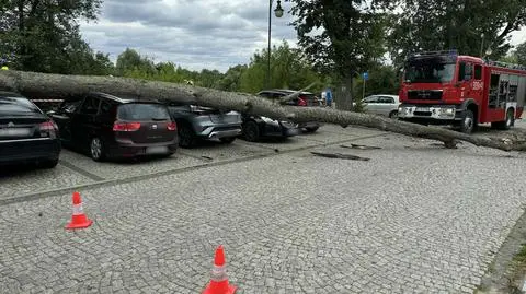 Uszkodzone zostały trzy samochody 