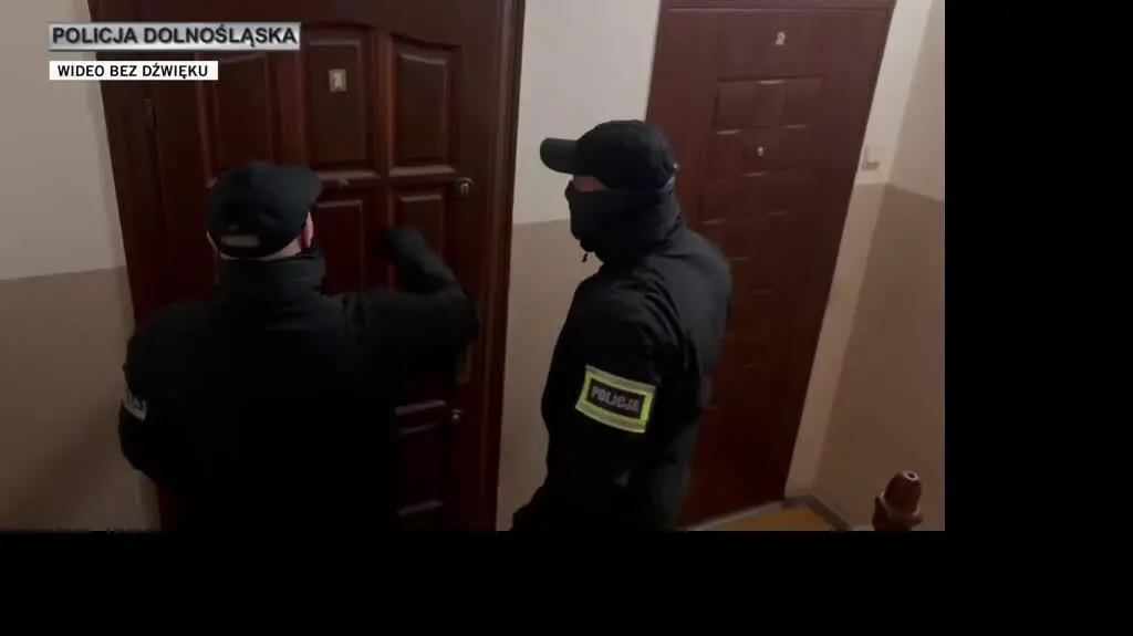 policja