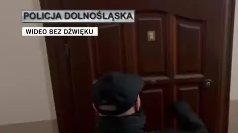 policja