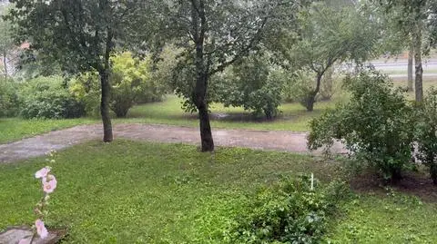 Augustów