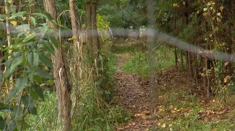 Strzelnica w Raculi
