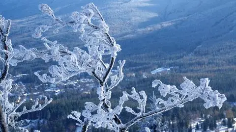 AdobeStock_1879137463