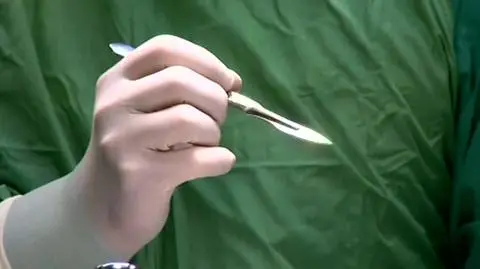 1906N374XR PIS DNZ WILCZYNSKA