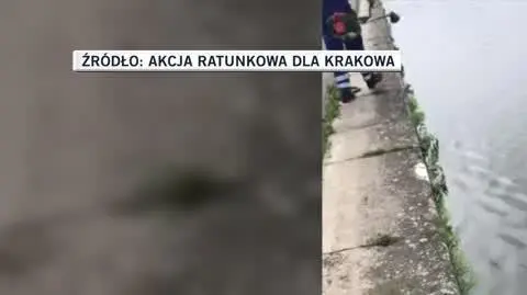 Akcja Ratunkowa dla Krakowa