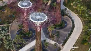 Gardens by the Bay