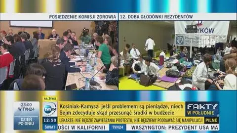 Katarzyna Lubnauer: propozycja powołania zespołu to gra na czas