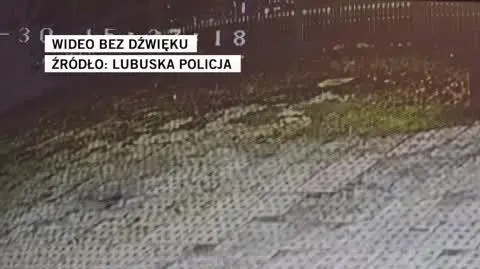 Lubuska policja