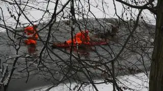 Akcja ratowania stada jeleni