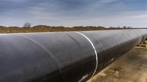 shutterstock_544997530_1