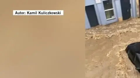 Głuchołazy Dla Gosi