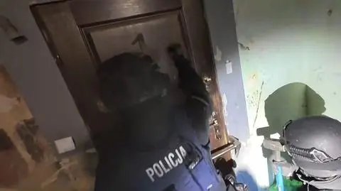 11 osób zatrzymanych przez policję