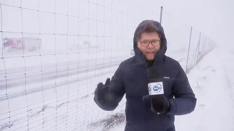 Zamieć śnieżna w okolicach Mławy