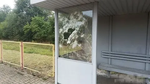 Zniszczył wiatę 