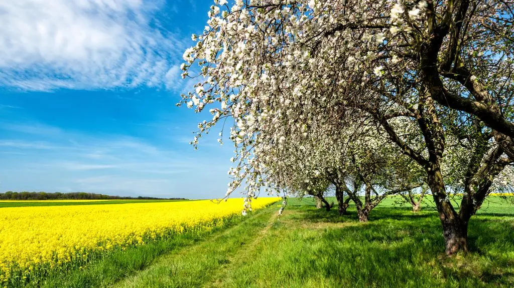 Spora zmiana na majówkę. Tam aura dopisze
