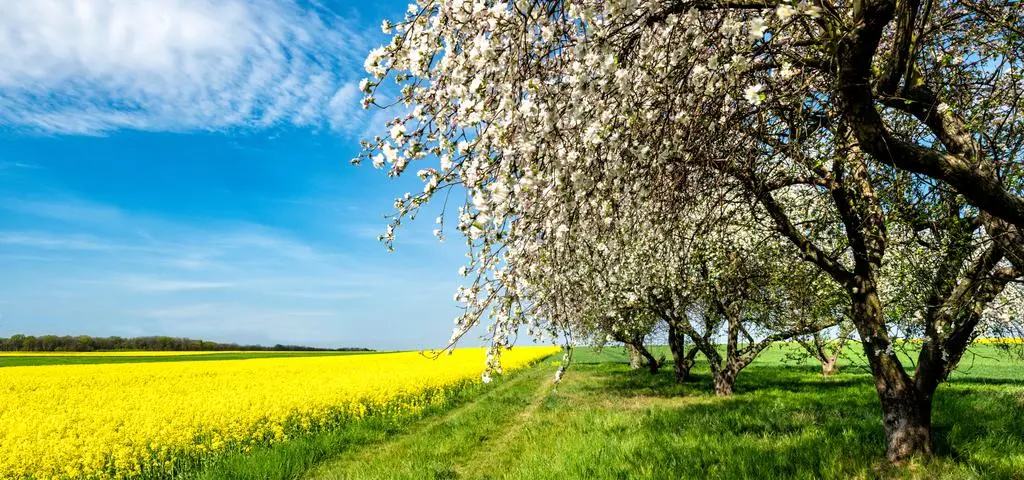 Spora zmiana na majówkę. Tam aura dopisze