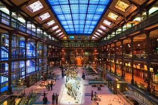 Muzeum Historii Naturalnej w Paryżu