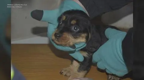 Klatka kluczowa-240102