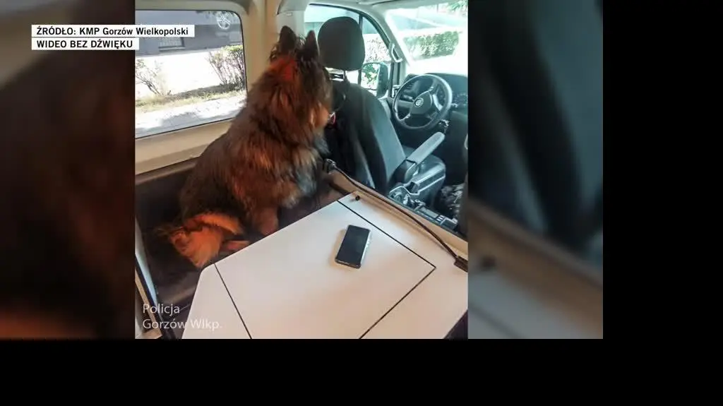 KMP Gorzów Wielkopolski