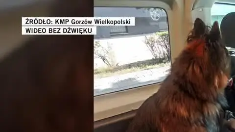 KMP Gorzów Wielkopolski