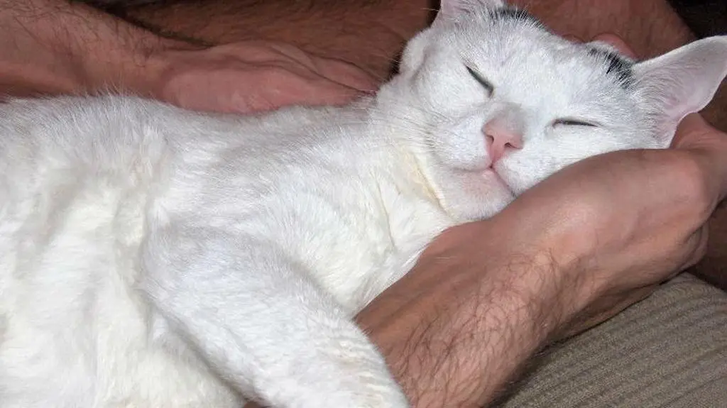 Julia myje głowę Sebastianowi