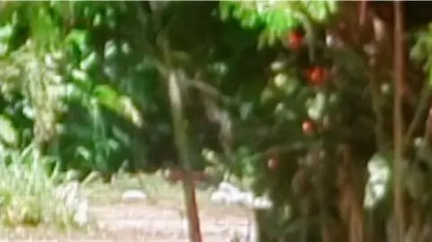 Daniel Craig w rozmowie z Anną Wendzikowską: jestem szczęśliwy, ale jest też smutek, bo to jest ogromna część mojego życia