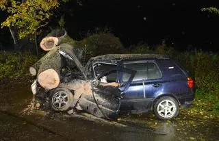 Drzewo spadło na samochód, kierowca w szpitalu 