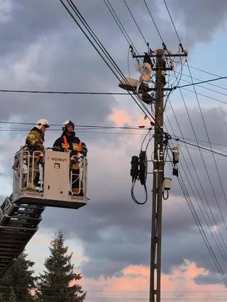 Bocian zaplątał się w linie energetyczne