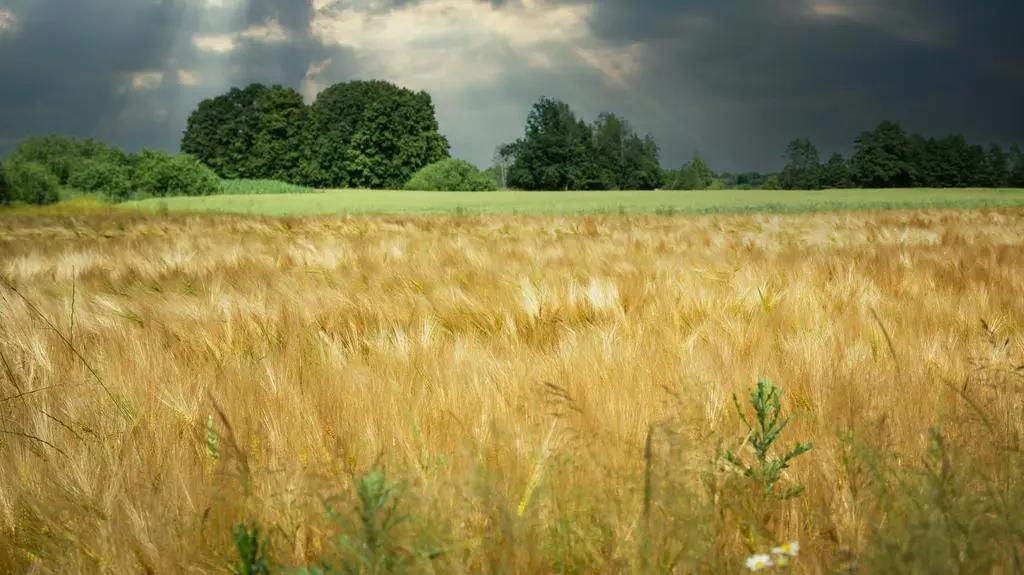 Pogoda na Boże Ciało i długi weekend
